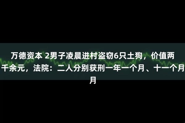 万德资本 2男子凌晨进村盗窃6只土狗，价值两千余元，法院：二人分别获刑一年一个月、十一个月