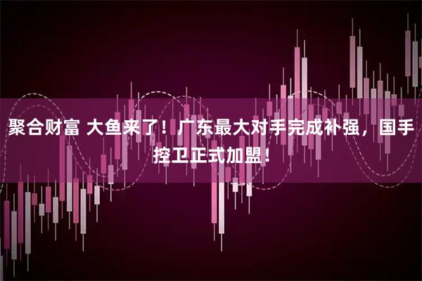 聚合财富 大鱼来了！广东最大对手完成补强，国手控卫正式加盟！